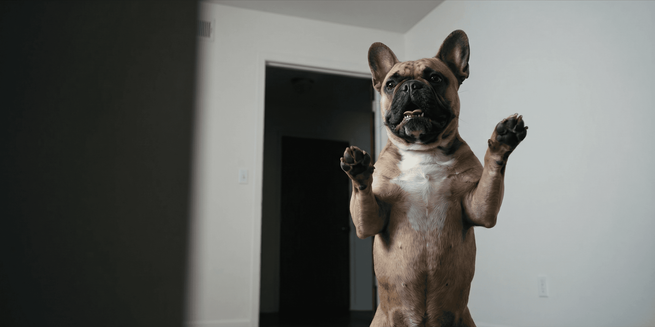 Imma Bite You