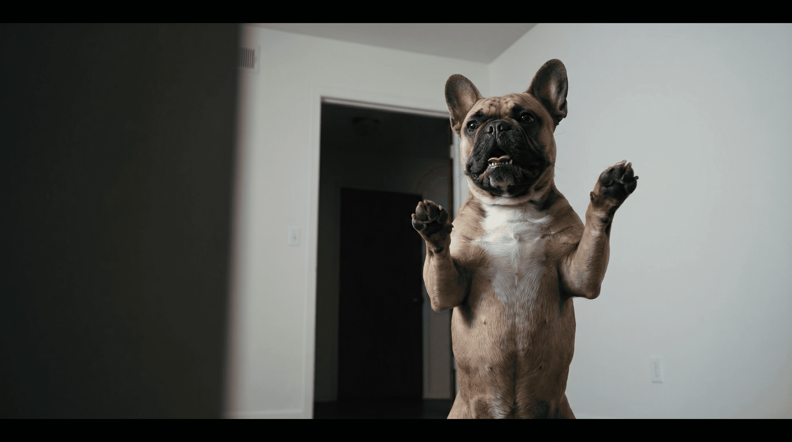 Imma Bite You