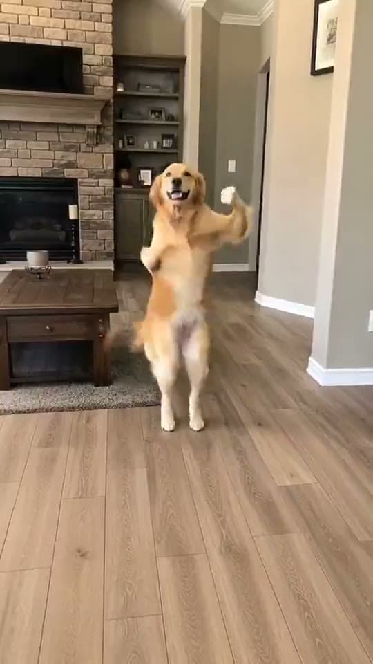 Juju On That Beat example still
